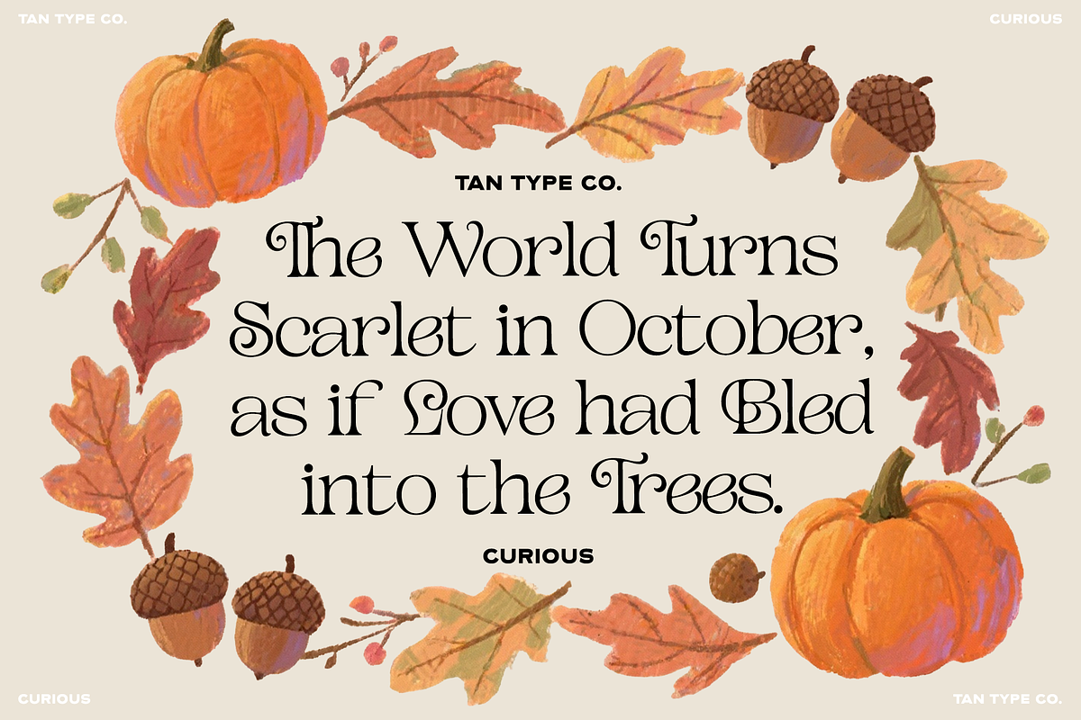 TAN - CURIOUS, a Serif Font by TanType (Photo 5 of 11)