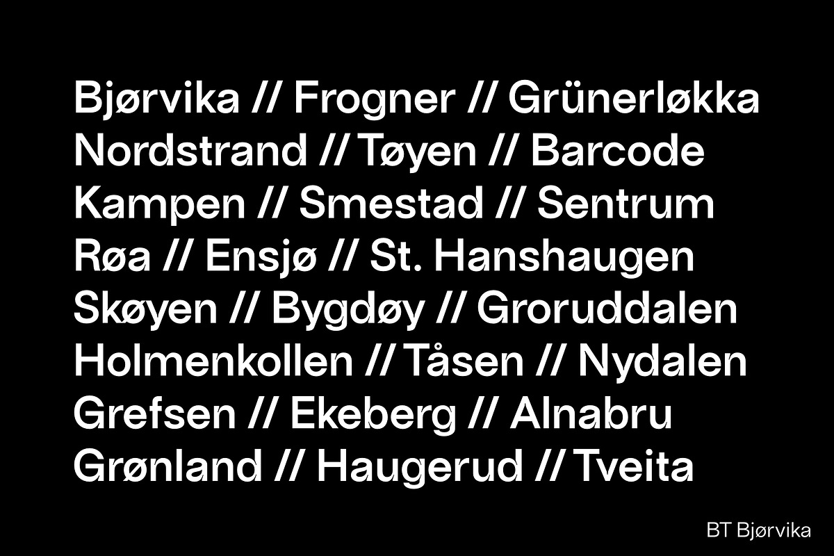 BT Bjørvika, a Sans Serif Font by BadType (Photo 2 of 10)