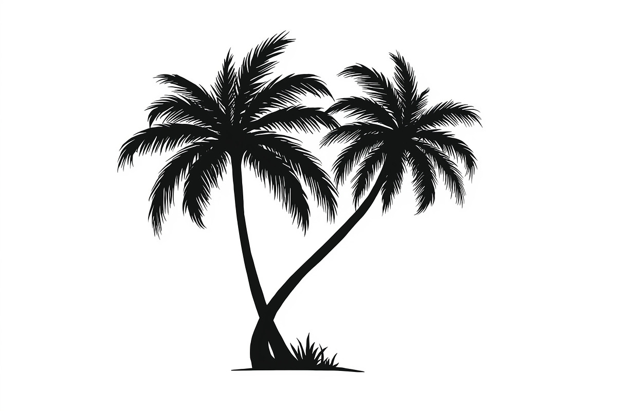 Palm Silhouette Clipart Set, an Illustration by hafijul (Photo 12 of 21)