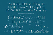 Sunveil Orange Modern Display Font, a Sans Serif Font by timelesstype.co (Thumbnail 19 of 20)