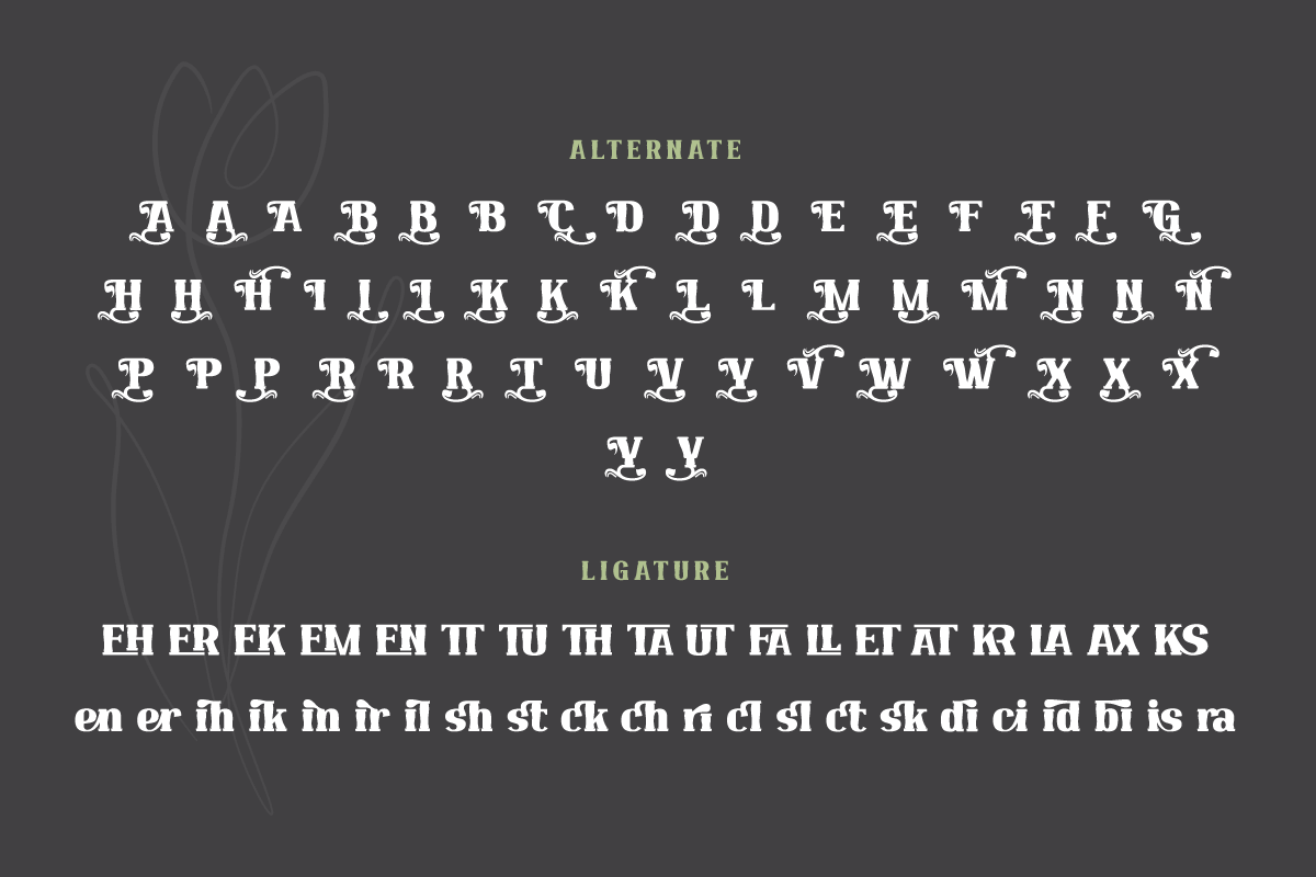 Qekruz | Serif Classic Modernism, a Serif Font by twinstd (Photo 12 of 13)