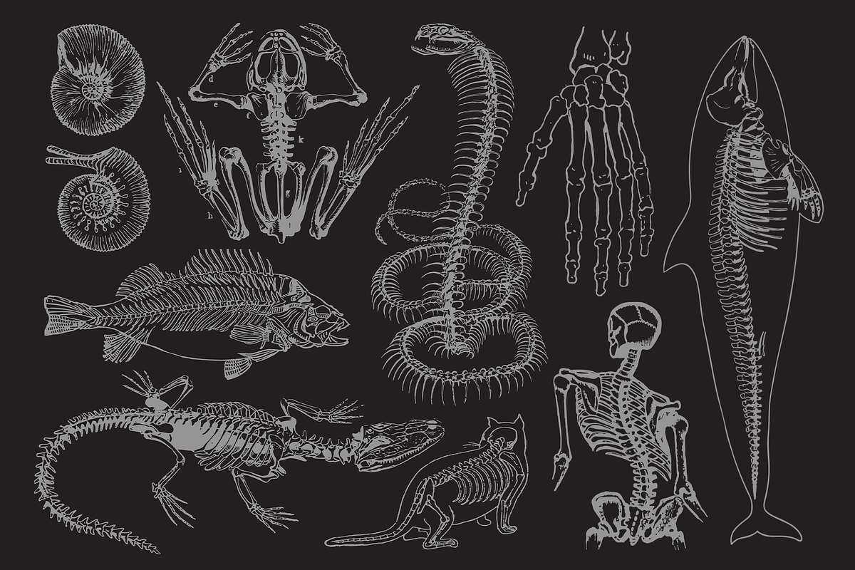 Afterlife Graphics Pack, an Object Graphic by Blaine Pate Studio (Photo 4 of 4)