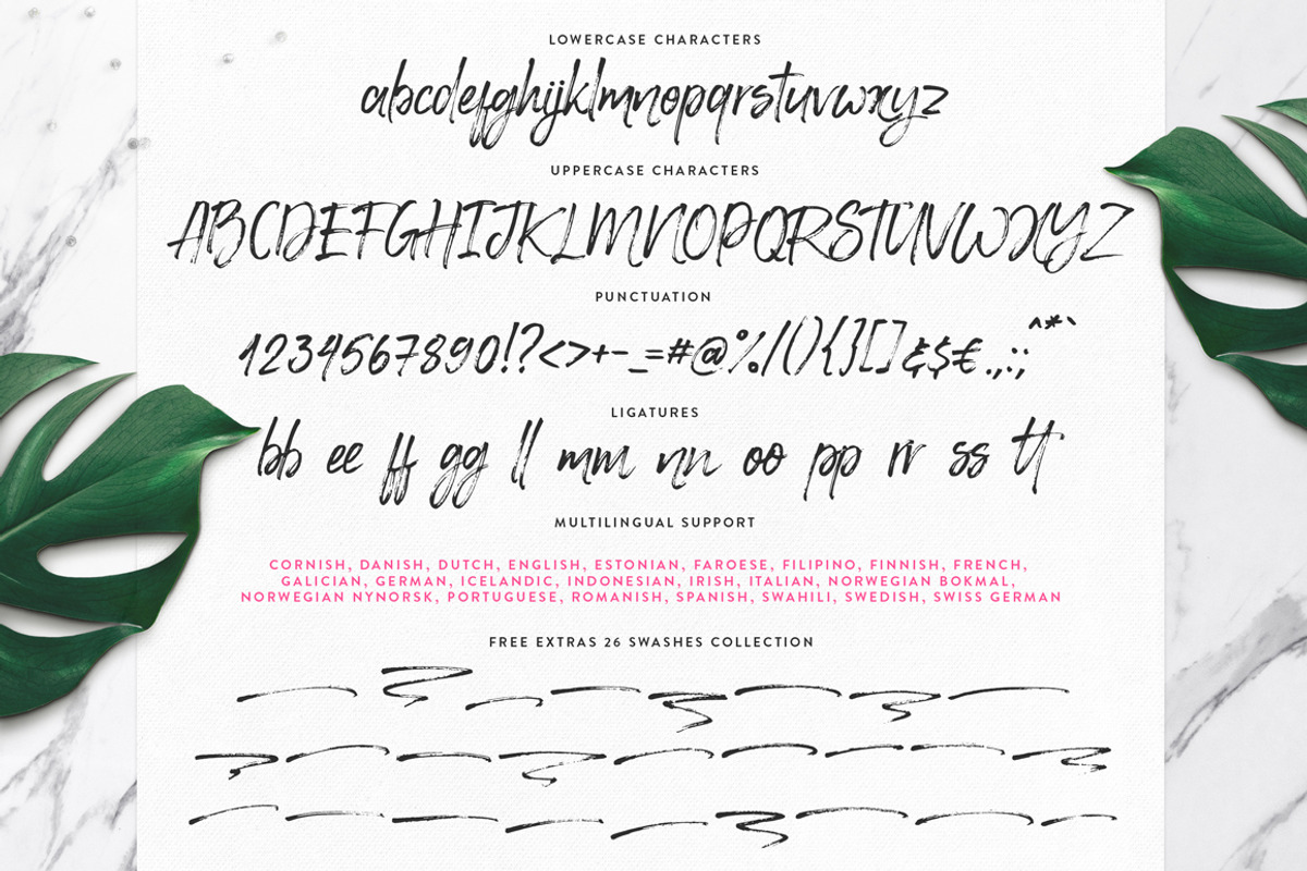 Happy Trendy Font + Extras, a Script Font by Ayya Studio (Photo 12 of 12)
