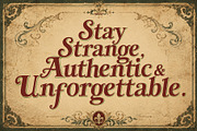 Rawkens - Beautiful Victorian Rebels, a Serif Font by HypeWorksCo (Thumbnail 10 of 12)
