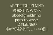 Rothen – Aesthetic Serif Font, a Serif Font by Dikas Studio (Thumbnail 5 of 10)