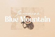 Hanesy - Modern Serif Font, a Serif Font by Ivan Rosenberg (Thumbnail 6 of 9)