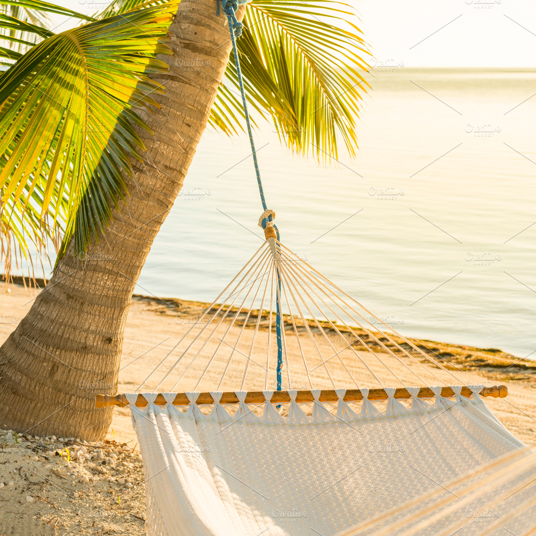 Peaceful Vacation Hammock, a Holiday Photo by THP Creative