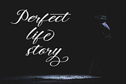 Authenia, a Script Font by Rotterlab Studio (Thumbnail 4 of 7)