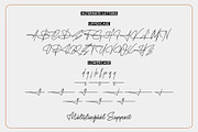 Sinatra | Monoline Signature, a Script Font by Lemonthe (Thumbnail 8 of 9)