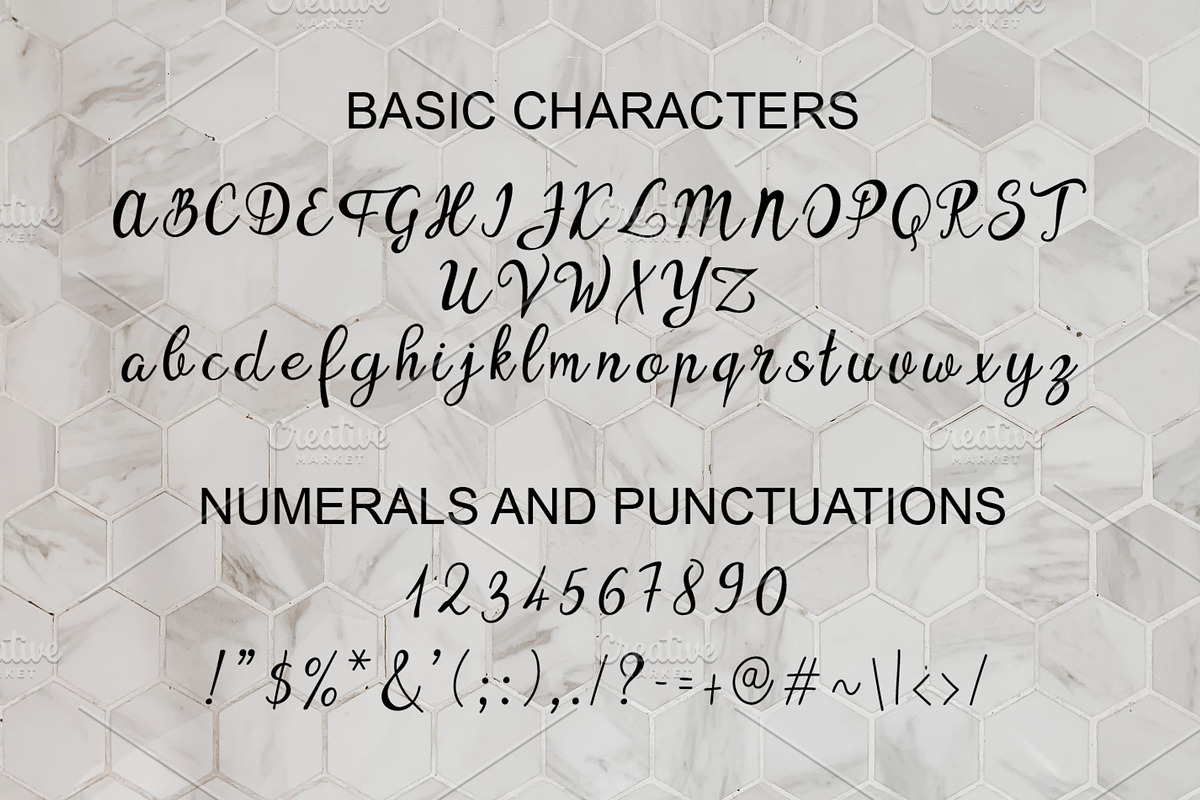 Ypsyllon, a Script Font by Digital Typeface Studio (Photo 2 of 8)
