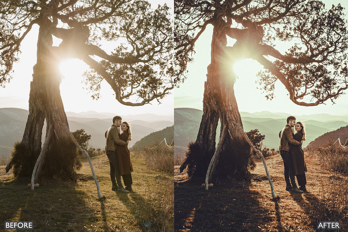 Spring Brown Tone Lightroom Presets, a Preset Add-On by AAA Presets (Photo 10 of 18)