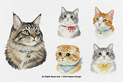 15 Bundle Watercolor Cats Face Flufy, an Animal Illustration by Morspective (Thumbnail 5 of 8)