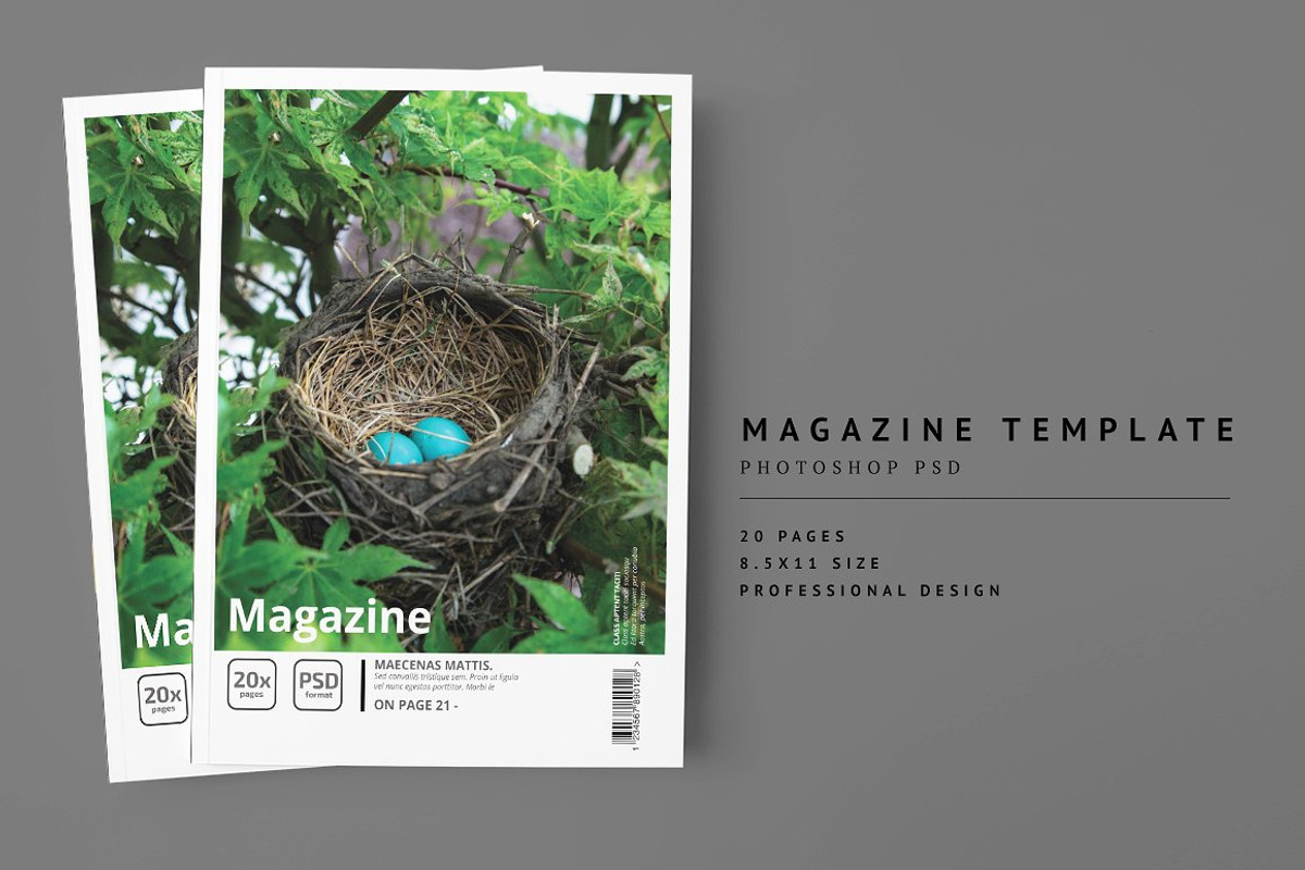 2000+ Magazine Bundle - 97% Off, a Magazine Template by pmvch (Photo 22 of 70)