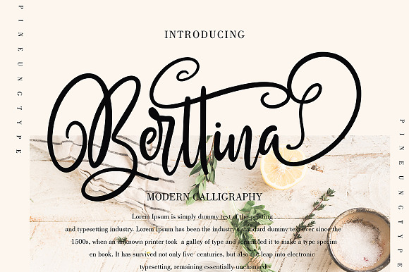 Berttina preview 8