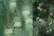 Silvam - Natural Backgrounds, a Background Graphic by Watercolor_Ma (Thumbnail 5 of 9)