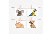 4x6 cards mockup with clothespins, a Print Template by Dorado Stock (Thumbnail 3 of 3)