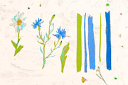 Crayon Wildflowers & Grasses Clipart, a Healthcare Illustration by Lucyinyourheart (Thumbnail 4 of 5)