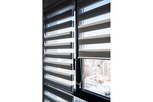 Modern zebra window blinds filtering