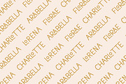 Lorena Typeface, a Sans Serif Font by CCS Type (Thumbnail 21 of 21)