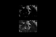 Distressed Grunge Textures, a Texture Graphic by TuomoDesign (Thumbnail 3 of 5)