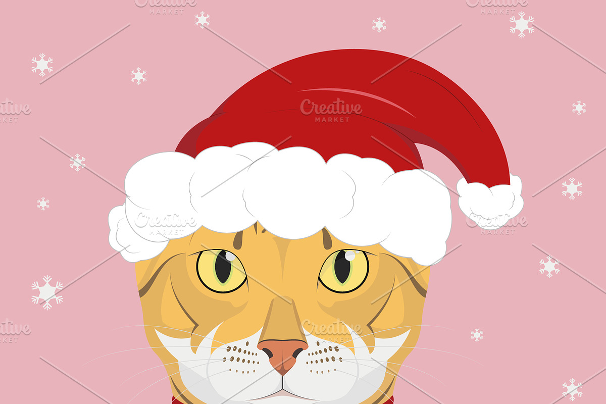 Christmas 9x Cat Breeds, an Animal Illustration by asantosg (Photo 8 of 10)