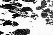 Frenzy Vol 2, a Texture Graphic by Jennifer Lauren Creative (Thumbnail 10 of 16)