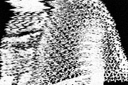 Black Static, a Texture Graphic by Jennifer Lauren Creative (Thumbnail 5 of 20)