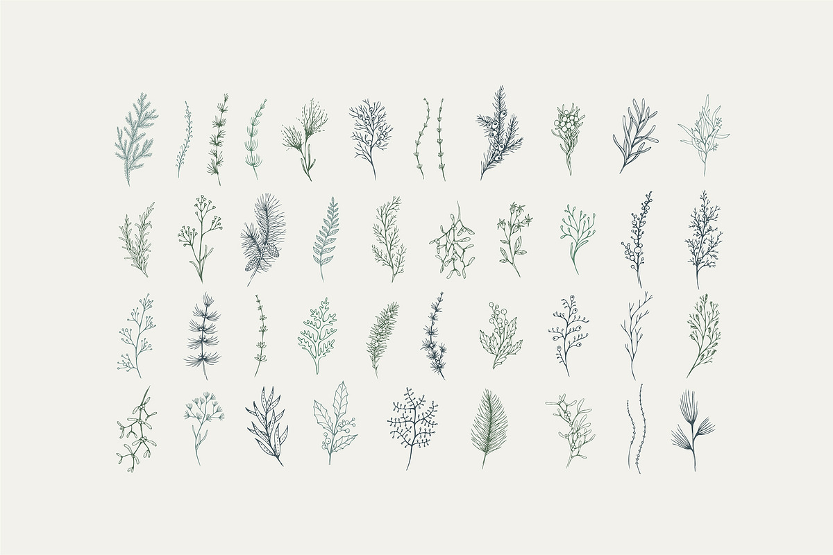 Winter Foliage collection, a Decorative Illustration by Merfin (Photo 8 of 14)