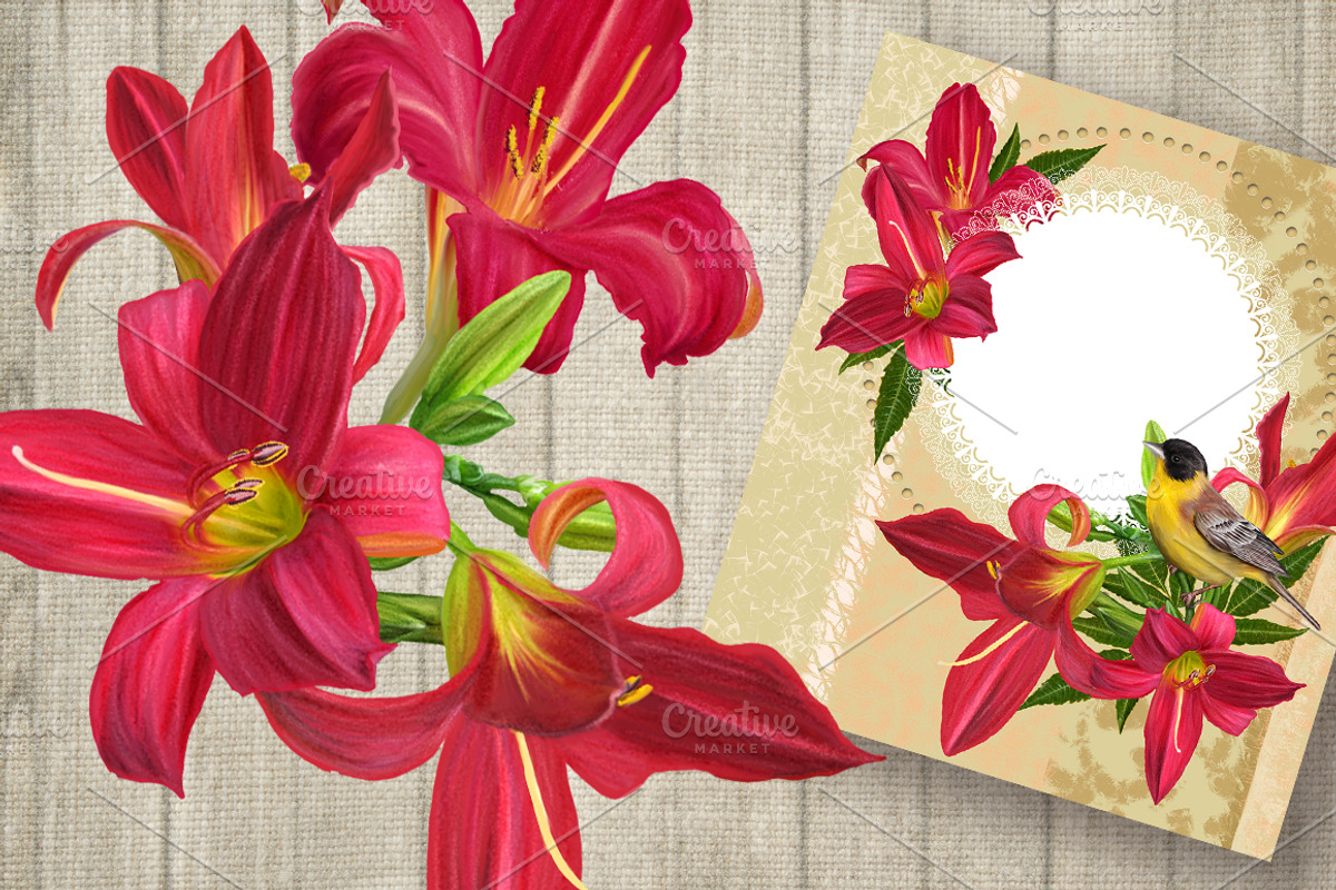 Set. Flowers red lily., an Illustration by SokolovaSv (Photo 1 of 2)