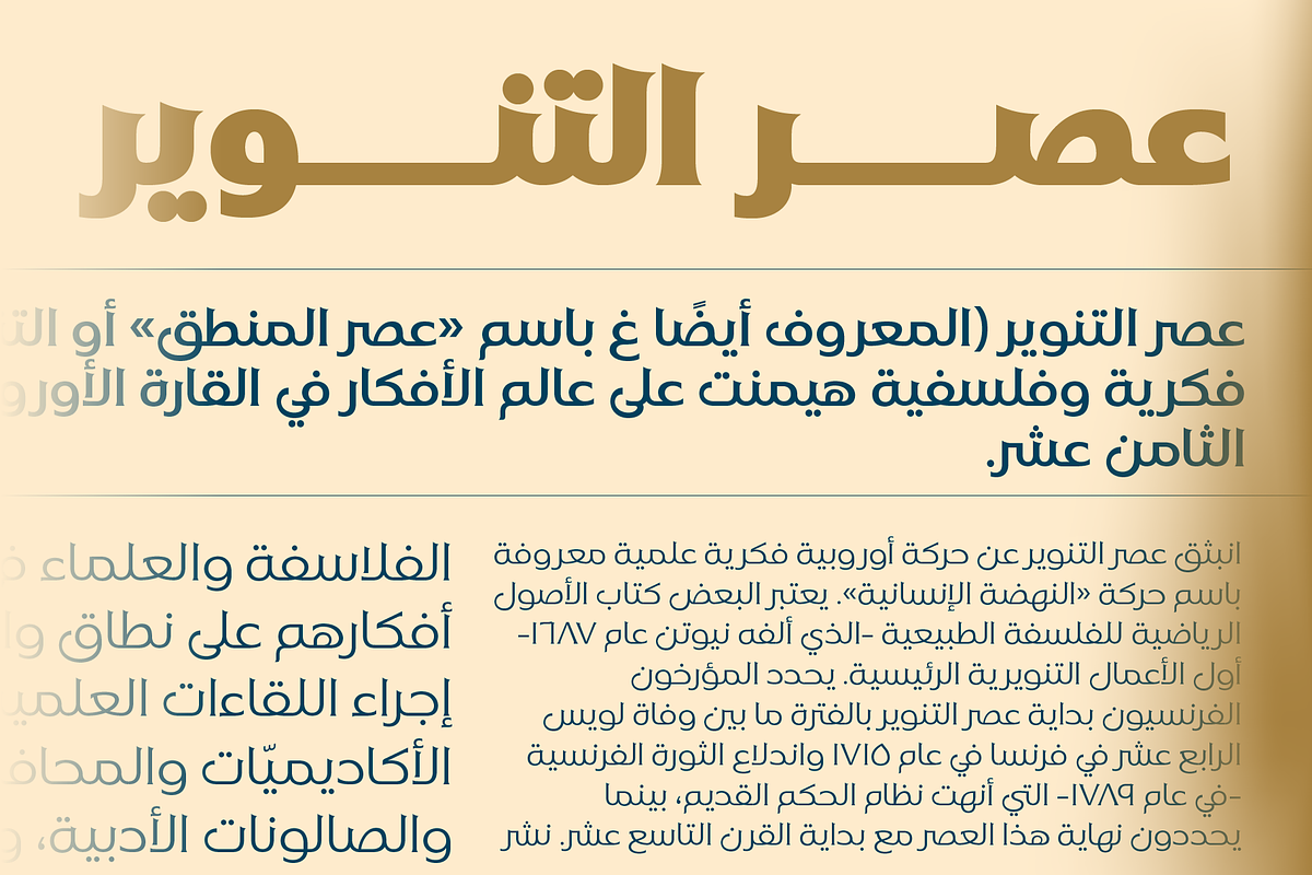 Naveid Latin & Arabic Font Black, a Serif Font by Namela Studio (Photo 4 of 7)