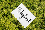 Good Feeling, a Handwritten Font by InermediaSTUDIO (Thumbnail 5 of 8)