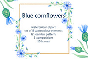 Blue cornflowers bundle, a Decorative Illustration by EshaStudio (Thumbnail 2 of 15)