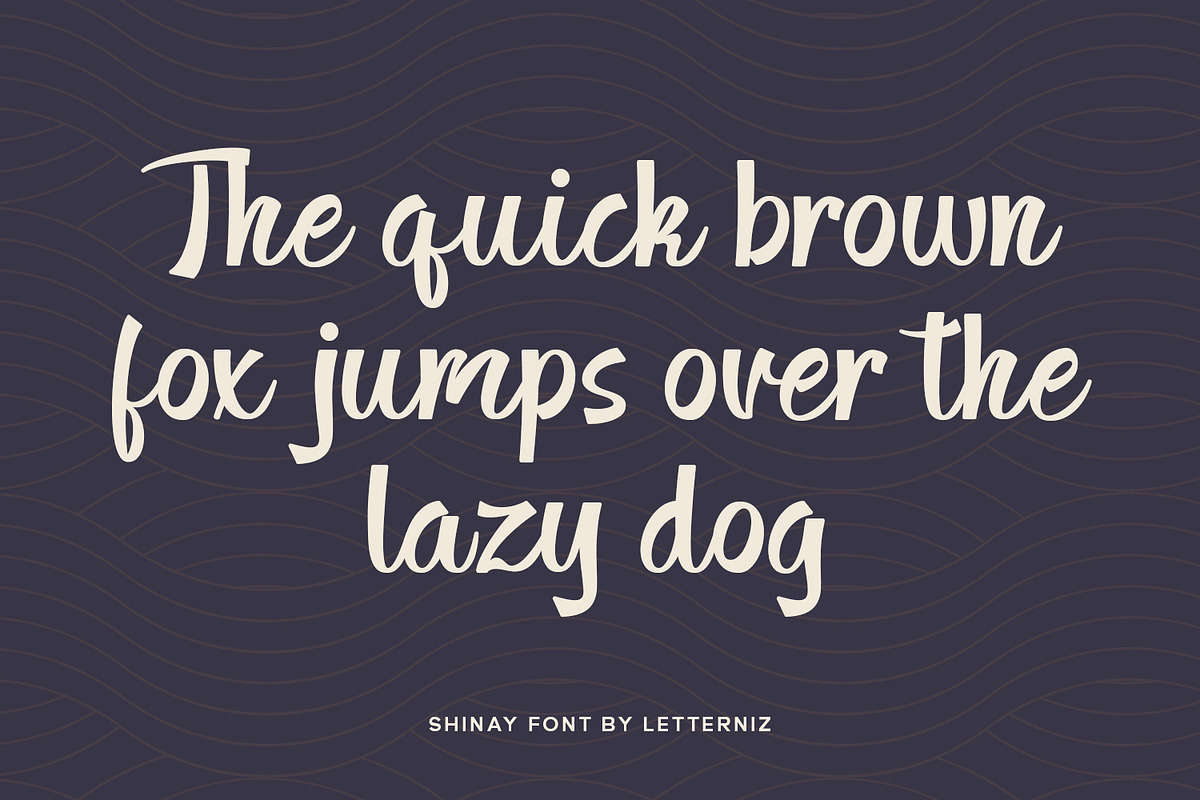 Shinay Display Font, a Script Font by nizarbagasm (Photo 5 of 8)