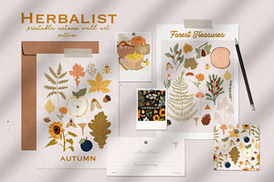 Herbalist - Posters And Pattern