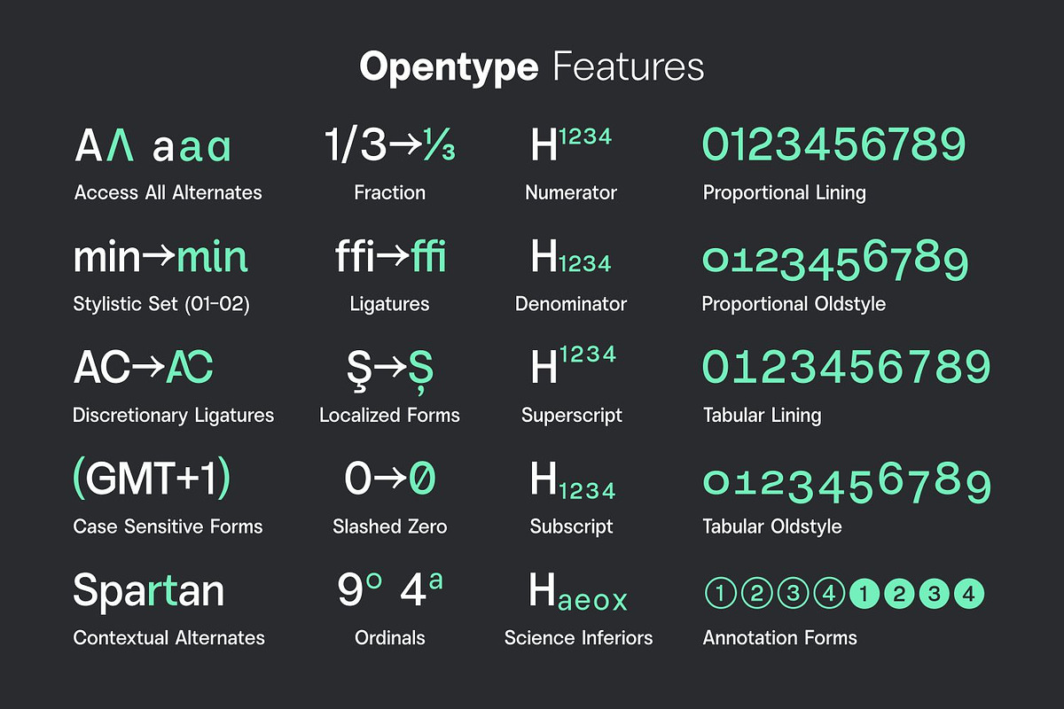 Vontica Sans Font Family, a Sans Serif Font by Asenbayu (Photo 13 of 15)