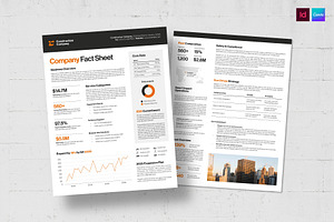 Factsheet Template, a Flyer Template by BrandPacks