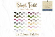 72 Tint Colours for Affinity Suite, a Palette Add-On by May Annella (Thumbnail 1 of 8)
