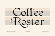 Arthouse Cinema, a Serif Font by zeenesia (Thumbnail 13 of 16)