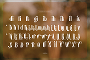 Pany Anemov | Modern Display Serif, a Font by Denustudios (Thumbnail 14 of 15)