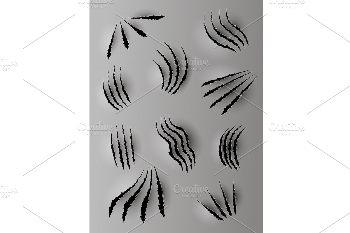 Bear or tiger claw marks, an Animal Illustration by Things for designers