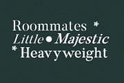 Molagane | Fancy Serif Typeface, a Serif Font by Qaratype (Thumbnail 14 of 26)