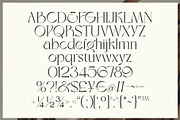 Eloires Elegant Stylish Serif Font, a Serif Font by Heinzel Std (Thumbnail 11 of 11)