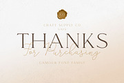 Gamour - Elegant Serif Font + Bonus, a Serif Font by Craft Supply Co. (Thumbnail 9 of 10)