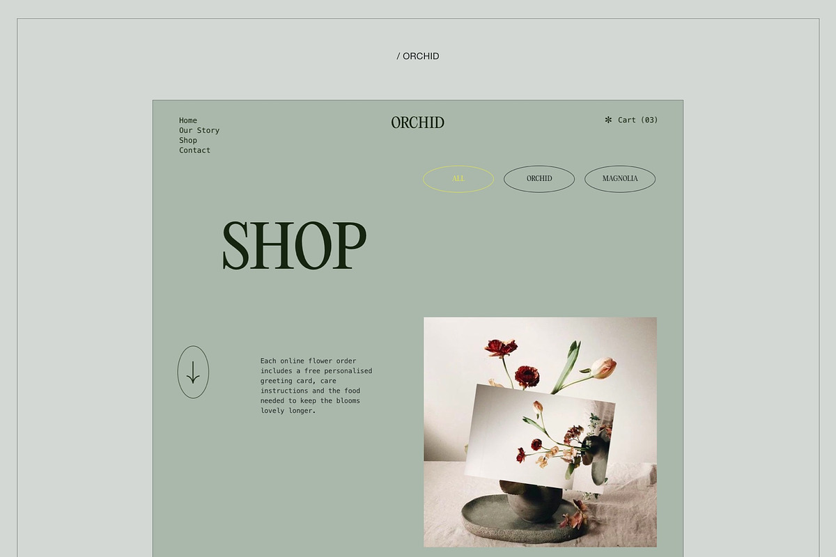 Orchid | E-commerce UI KIT Template, a Landing Page Template by Skolastika Phoebe (Photo 4 of 7)