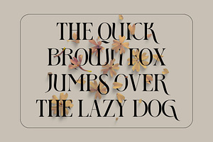 Fragor - Modern Display Serif