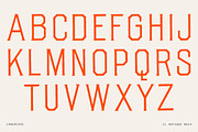 Vintage Tall Sans and Spur Serif, a Sans Serif Font by Century Library (Thumbnail 5 of 5)