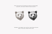 antique clipart graphite set, a Decorative Illustration by Pink Studio Art (Thumbnail 11 of 11)
