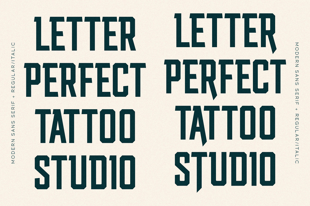Smith Buck Modern Sans Serif, a Sans Serif Font by Storytype Studio (Photo 5 of 15)