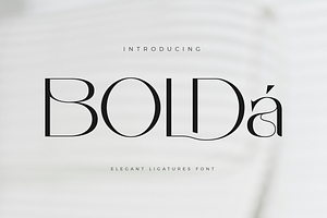 Bolda - Modern Sans Font