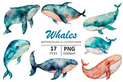 OCEAN BUNDLE, an Animal Illustration by Evgeniia (Thumbnail 7 of 16)